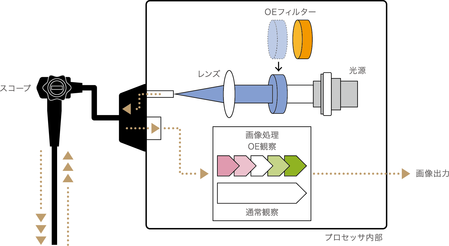 電子内視鏡について | 熊谷耳鼻咽喉科医院