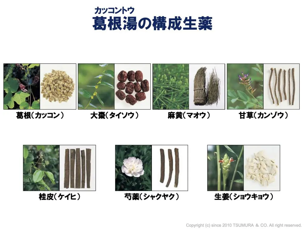漢方薬について | 熊谷耳鼻咽喉科医院